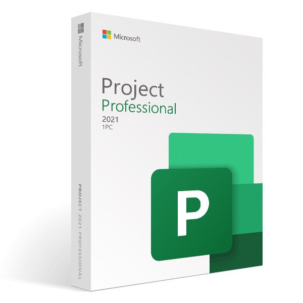 Info project 2021 professional