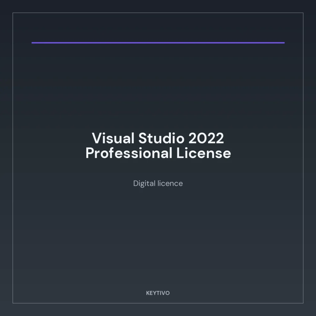 Visual Studio 2022 Professional License