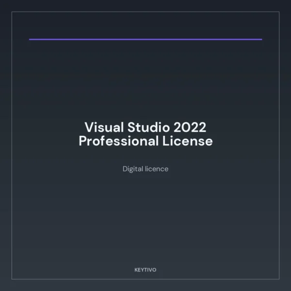 Visual Studio 2022 Professional License