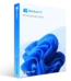 Windows 11 Pro